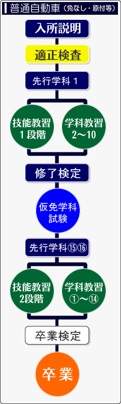 普通自動車の講習の流れ図解